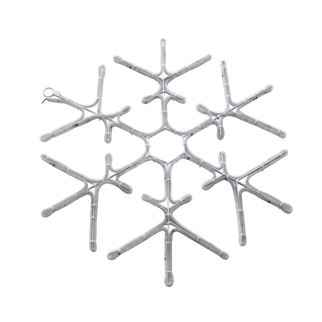 DMX RGB Snowflake Light