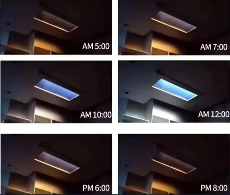 Natural Daylight Panel