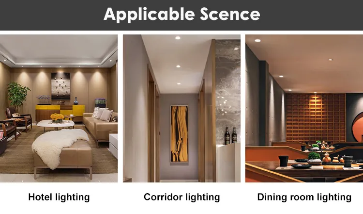 IP54 LED Downlight View 9