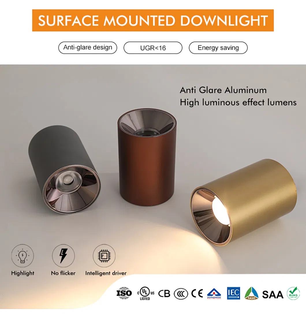 LED Ceiling Spot Light