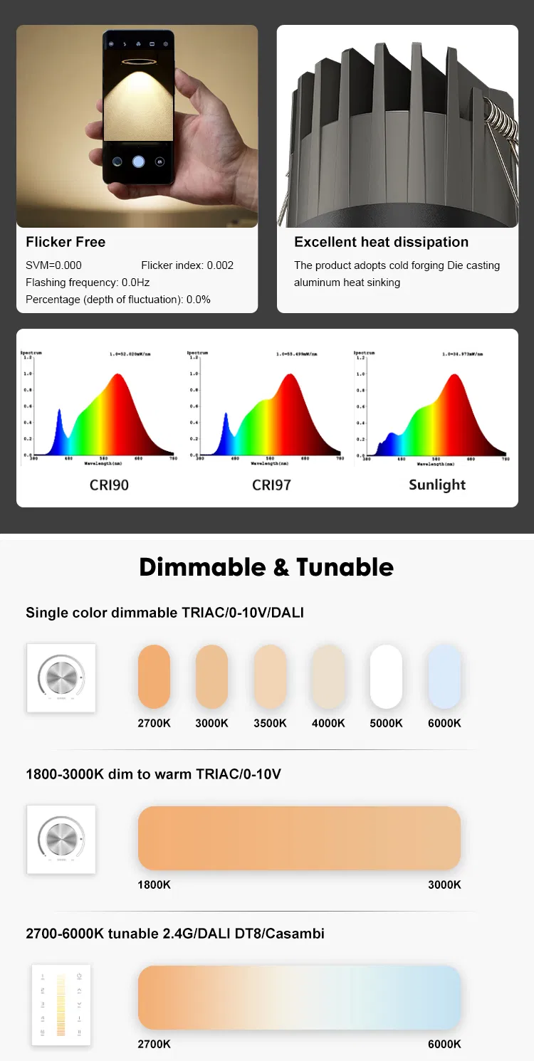 Indoor Lighting LED Downlight