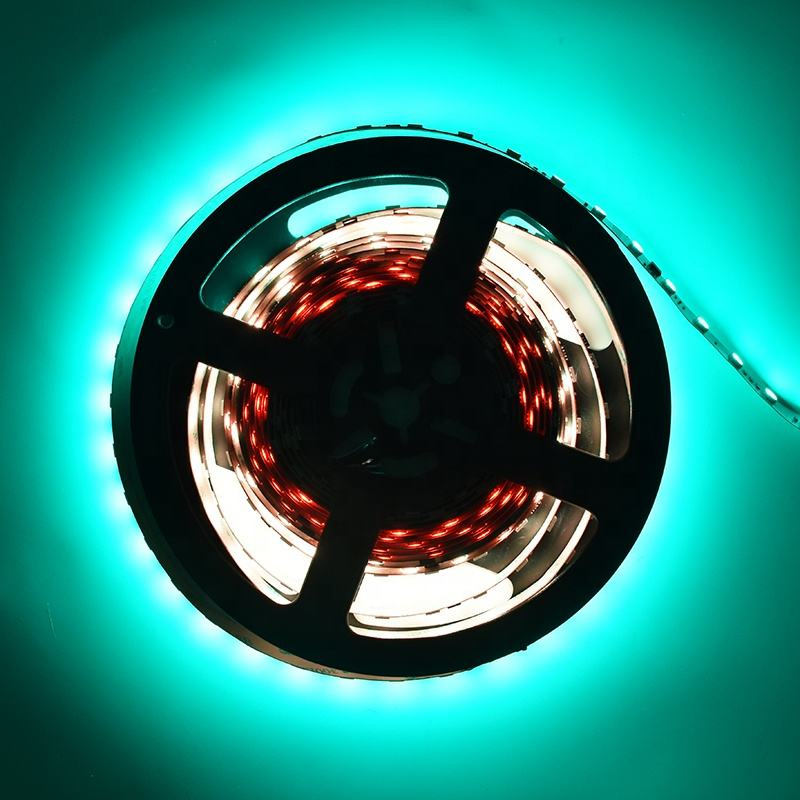 SMD5050 RGB Addressable LED Neon Light Strip Rgbdmx for Stage Lights