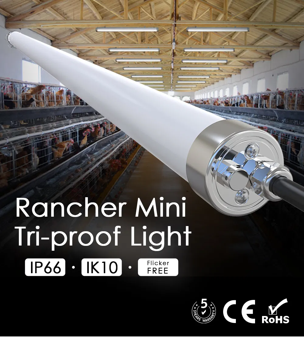 Vapor Tight LED Details