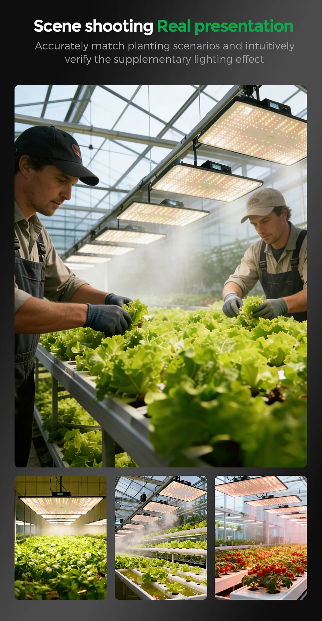 Full Spectrum Performance