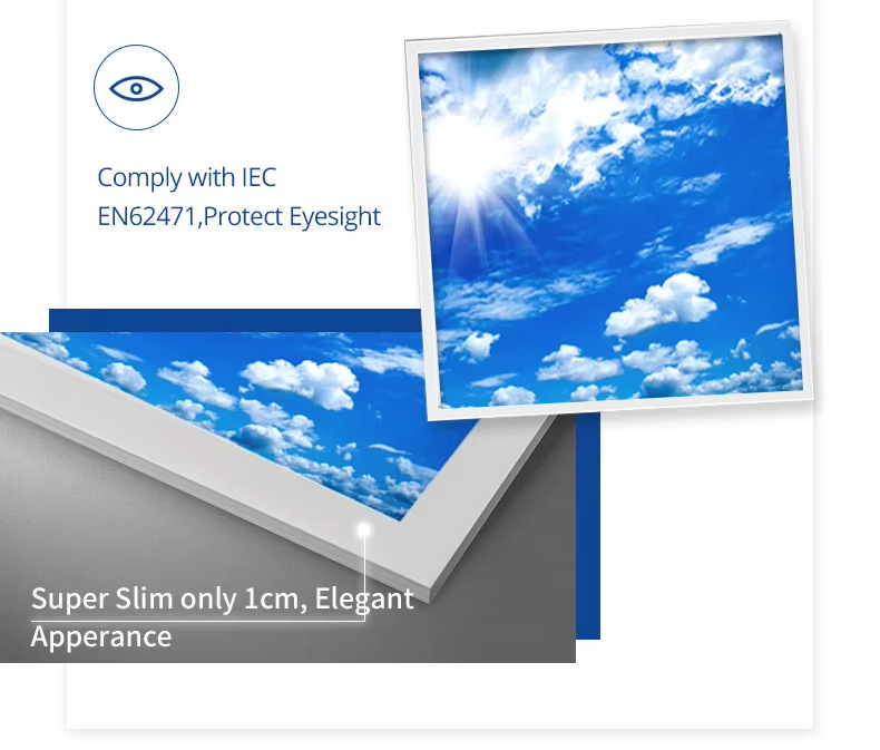 Eco-Friendly Modern Indoor LED Skylight 600X600mm Panel Light Fixture