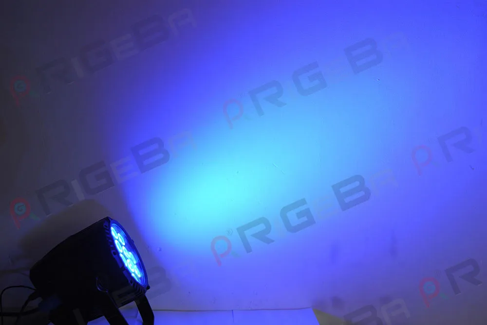 LED PAR Can Light Back