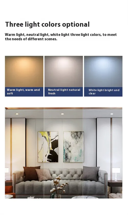 LED Downlight View 7