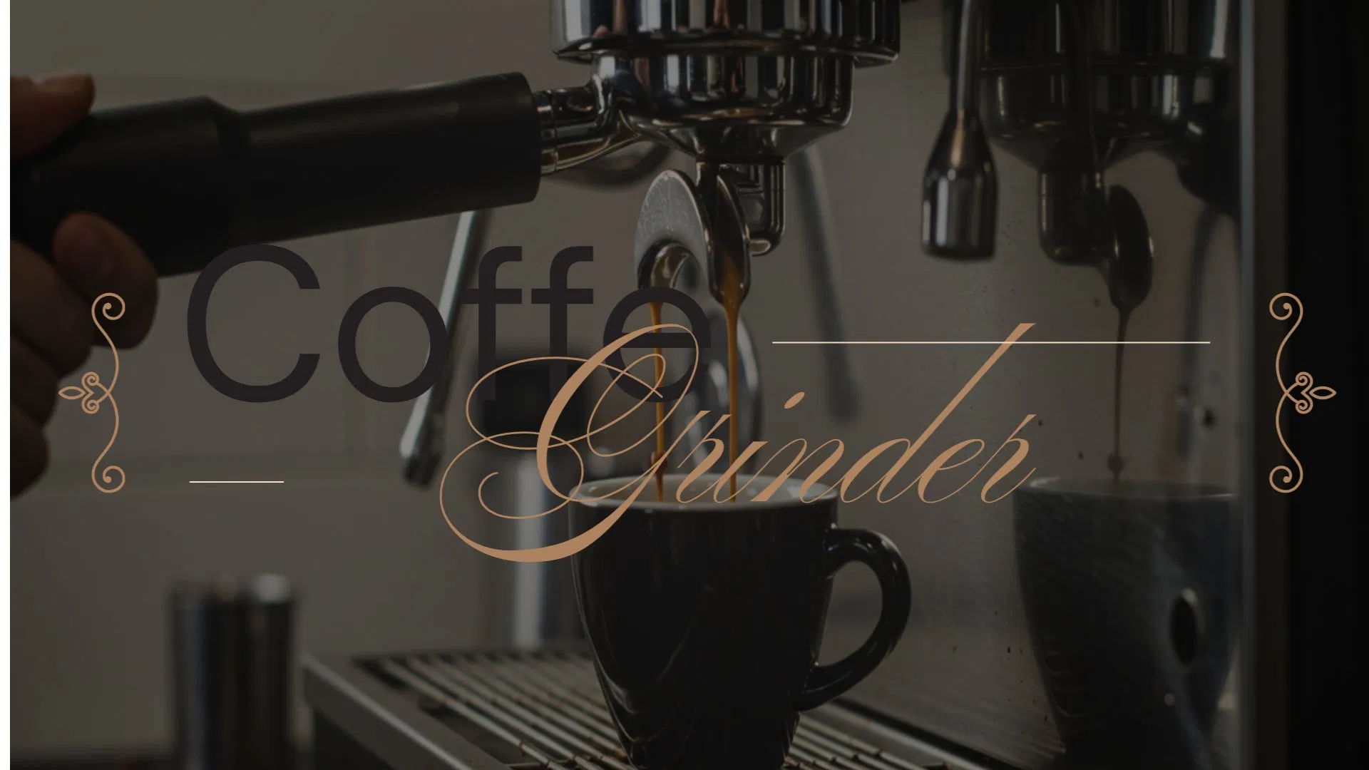 Molino de café profesional