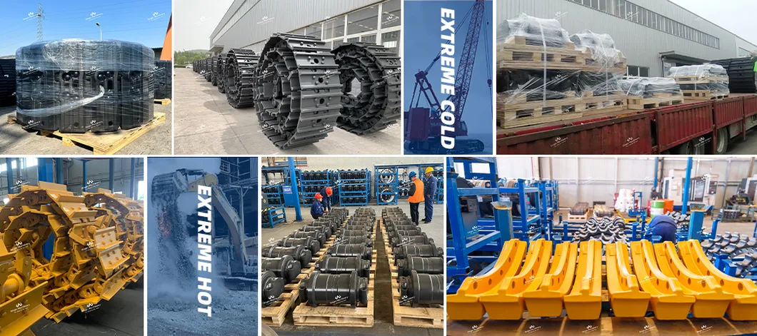 Shipping and Logistics