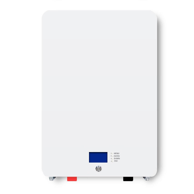 10kwh 51.2V LiFePO4 100ah Wall-Mounted Lithium Battery IP55 Protection All-in-One Home Solar Power Storage