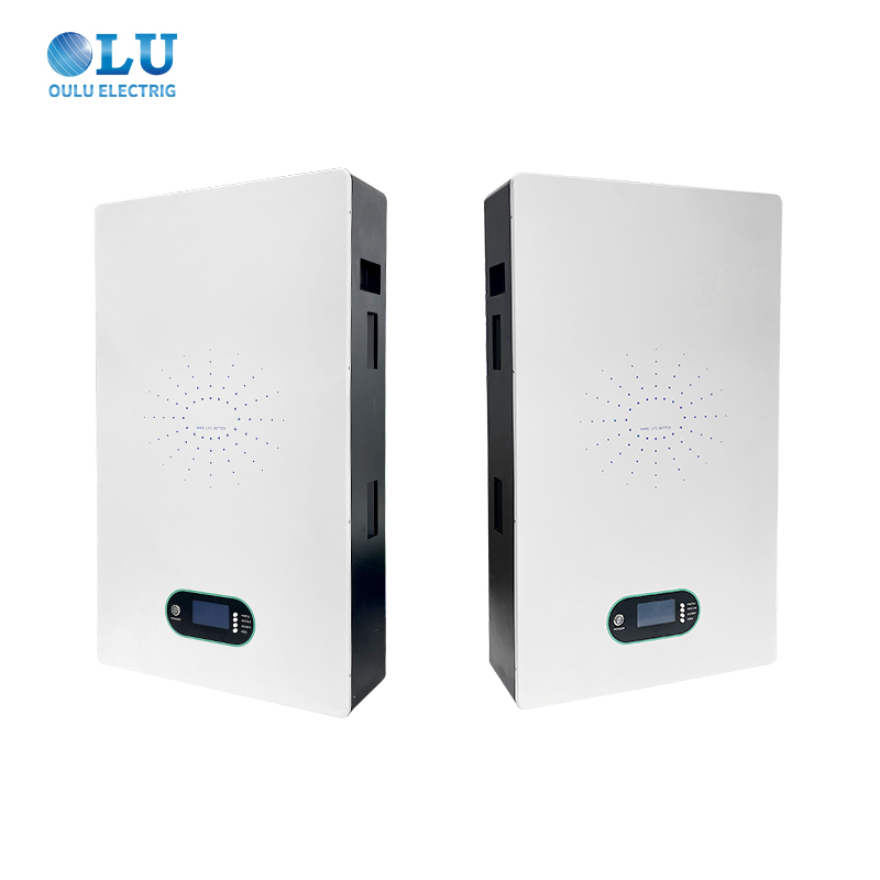 10kwh Storage System Solar 51.2V 200ah Home Inverter Batteries LiFePO4 Power Wall-Mounted