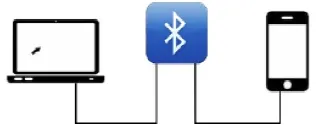 Bluetooth Option
