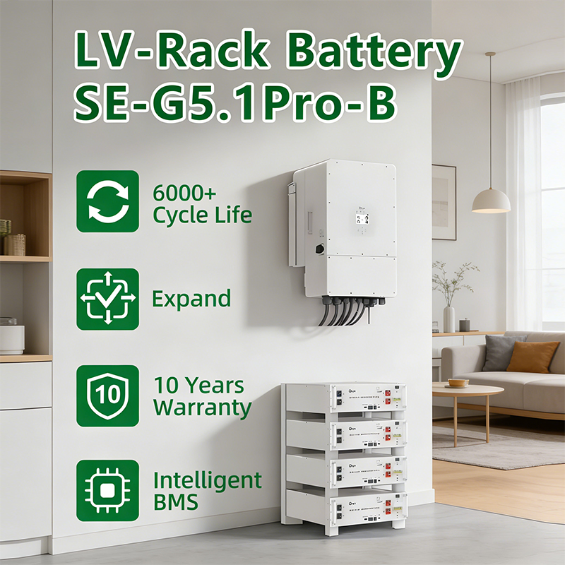 Deye Lithium Battery 51.2V 100ah 5kwh Solar Storage Battery Se-G5.1PRO off Grid LiFePO4 Lithium Ion Batteries for Hybrid Solar System
