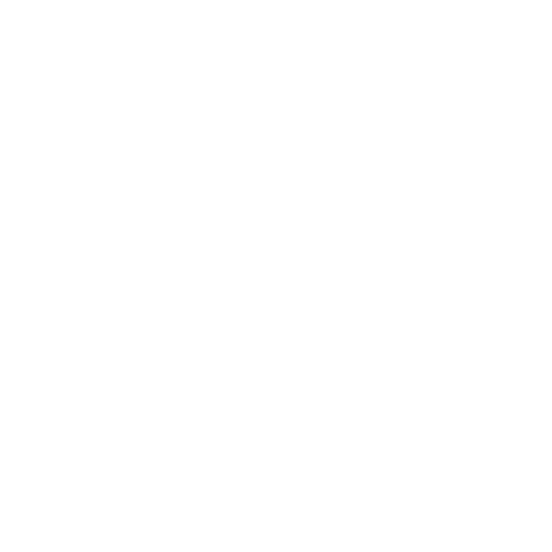 Established in 1999 icon
