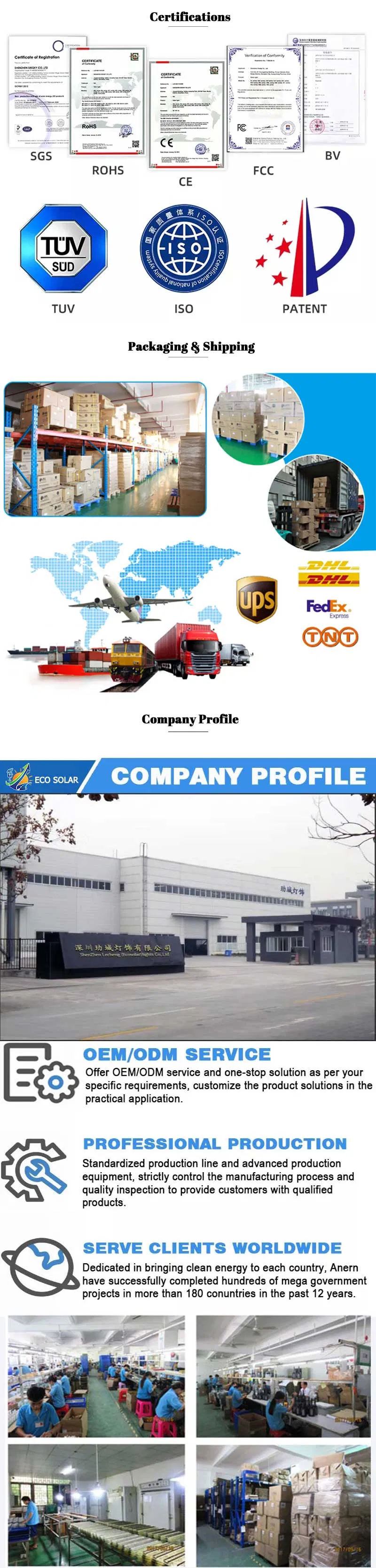 Infográfico da Empresa