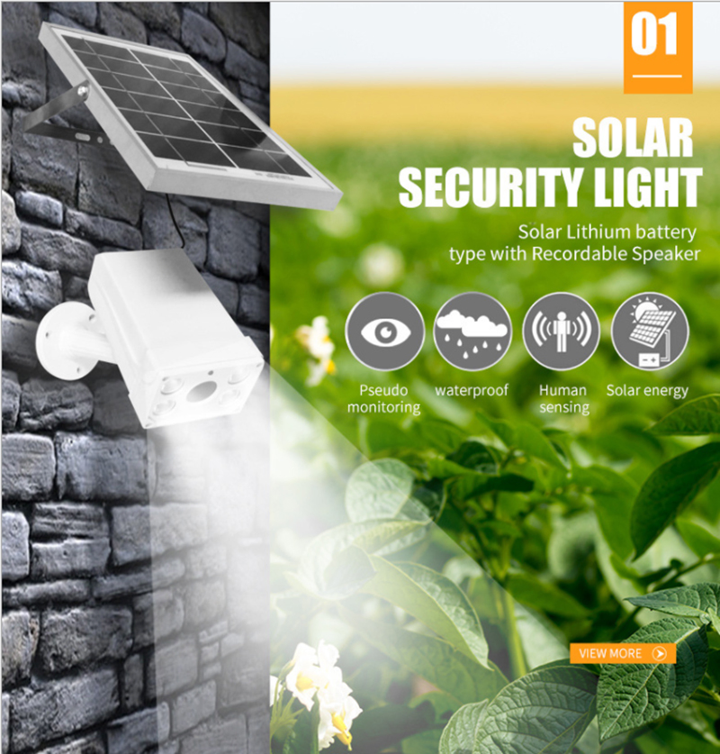 Iluminação de Segurança com Sensor de Movimento Solar ao Ar Livre Dragão Brilhante