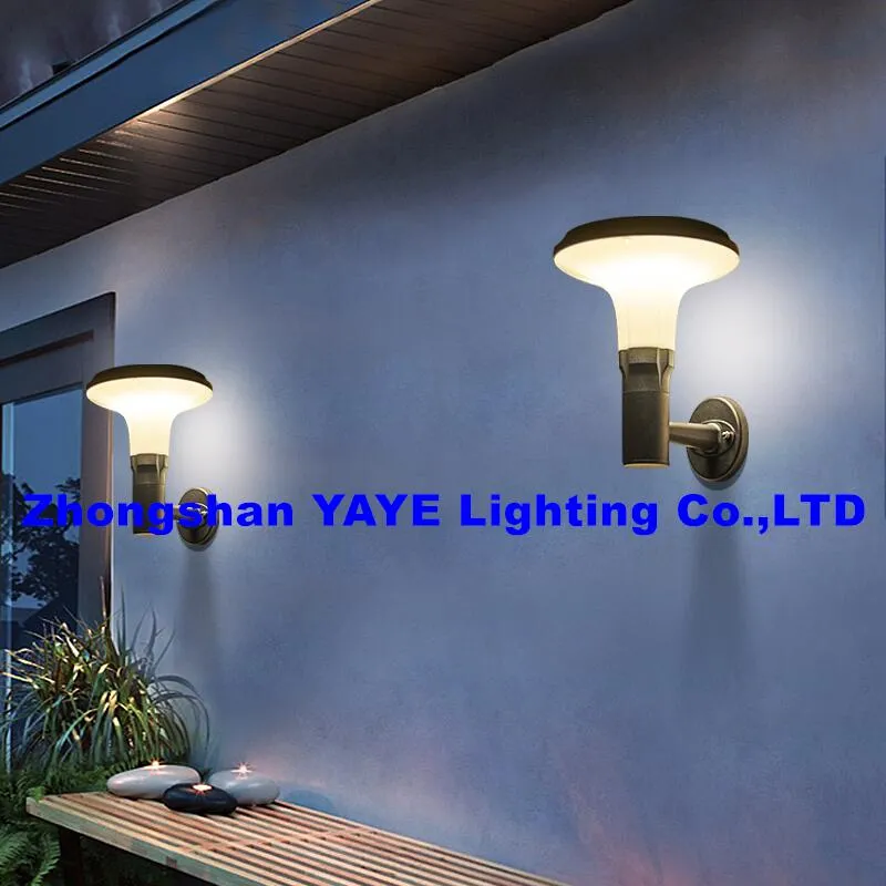 Solar Pathway Light