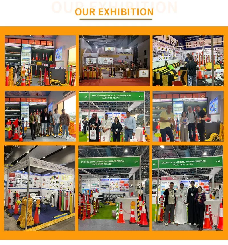 Exposição Internacional