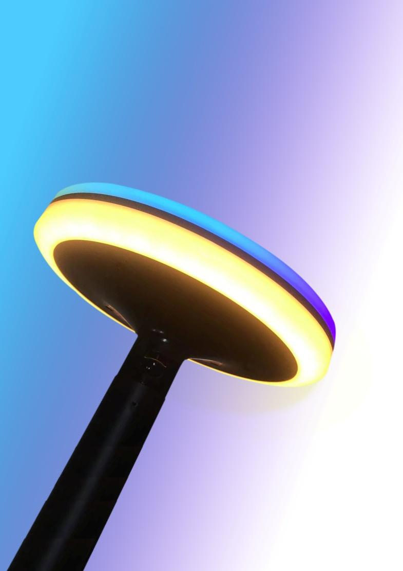 Luminária de Paisagem Pathway Spot ao Ar Livre à Prova d'Água IP65 1W Iluminação Solar LED para Jardim com Estaca