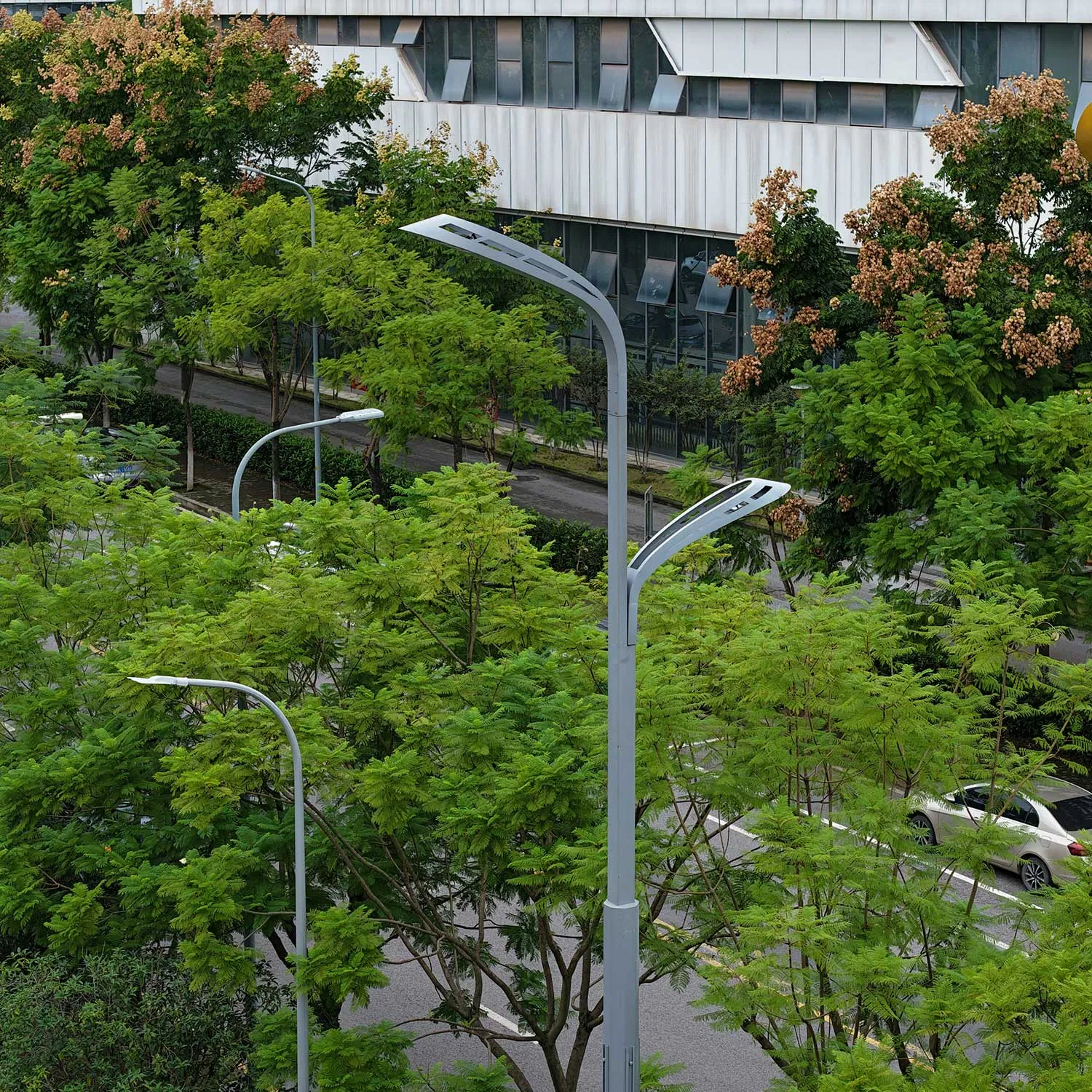 Iluminação Pública Solar LED com Poste de Iluminação Galvanizado Lâmpada de Alta Qualidade