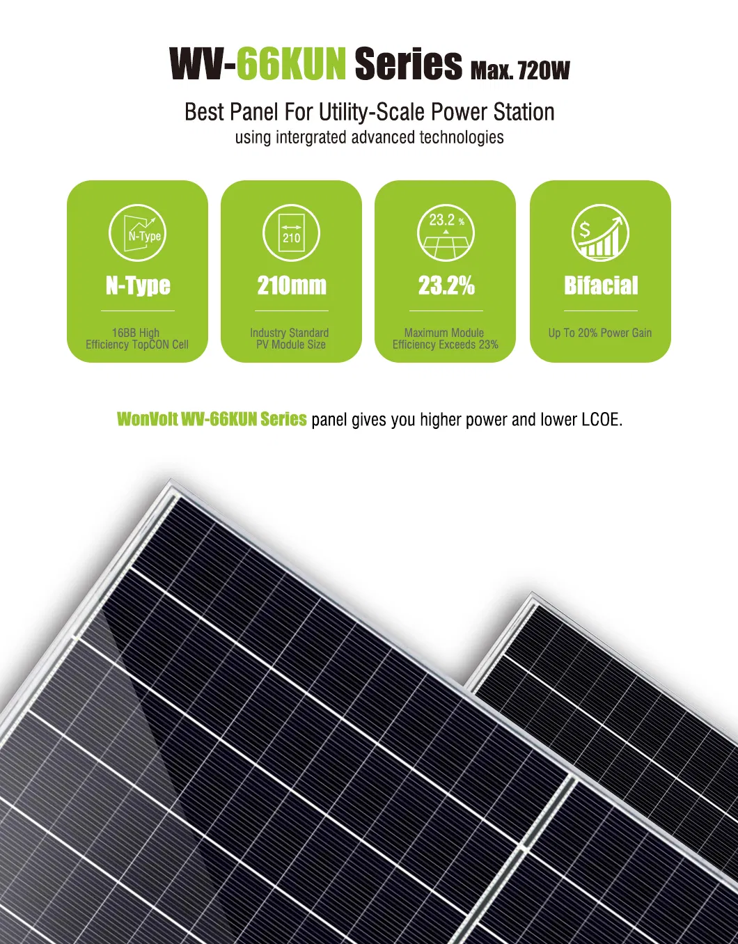 Monocrystalline Solar Module