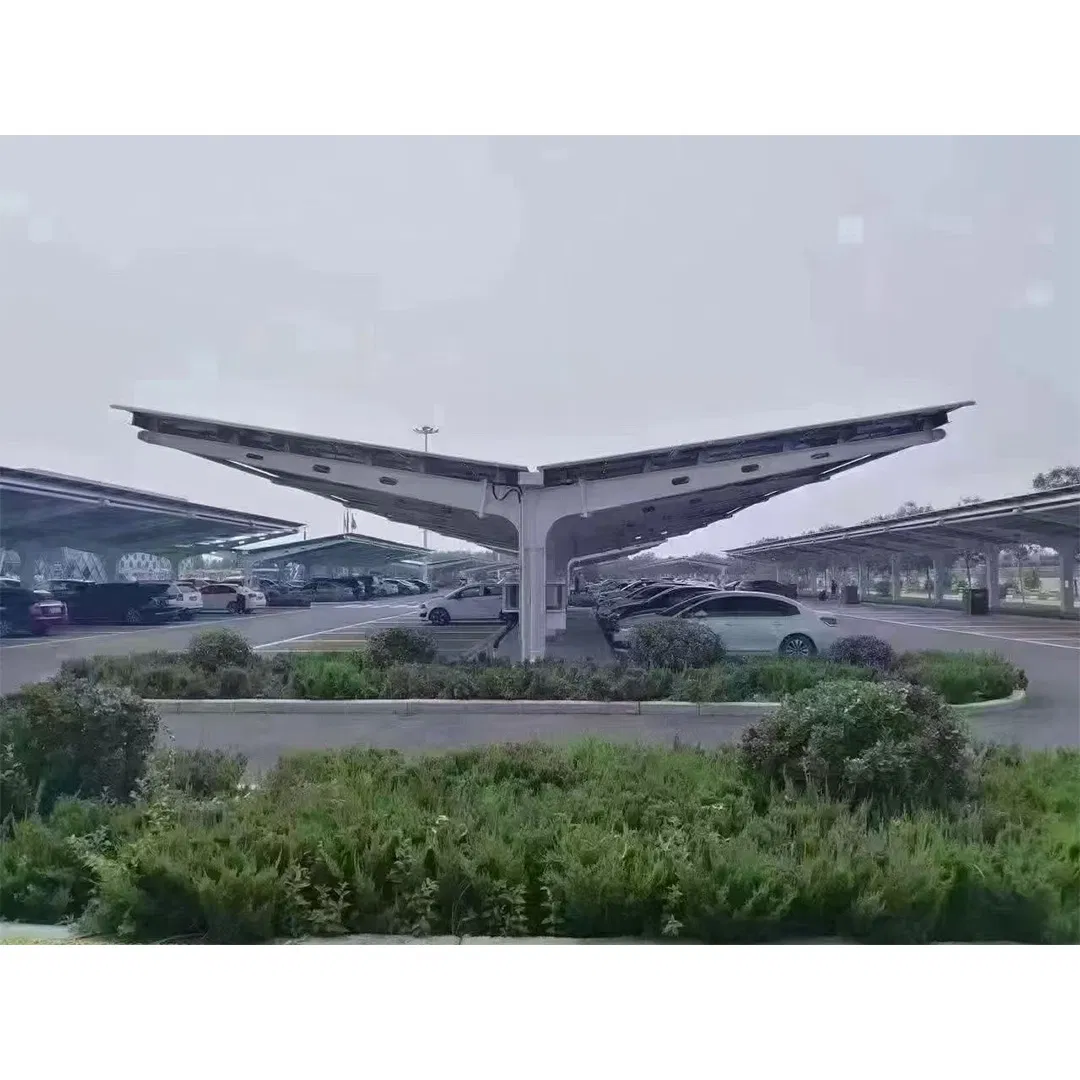 Solar Double Carports Mount System Solar Carport Mounting Structure