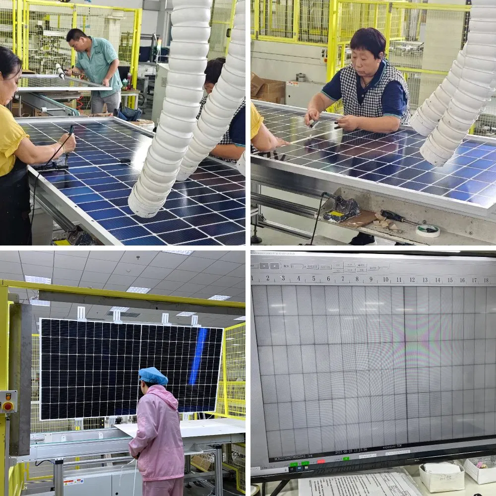 Sunpal Monocrystalline Dual Glass Solar Panels 550W 670W 590W 650W Topcon Bifacial Home Use Solar Panel