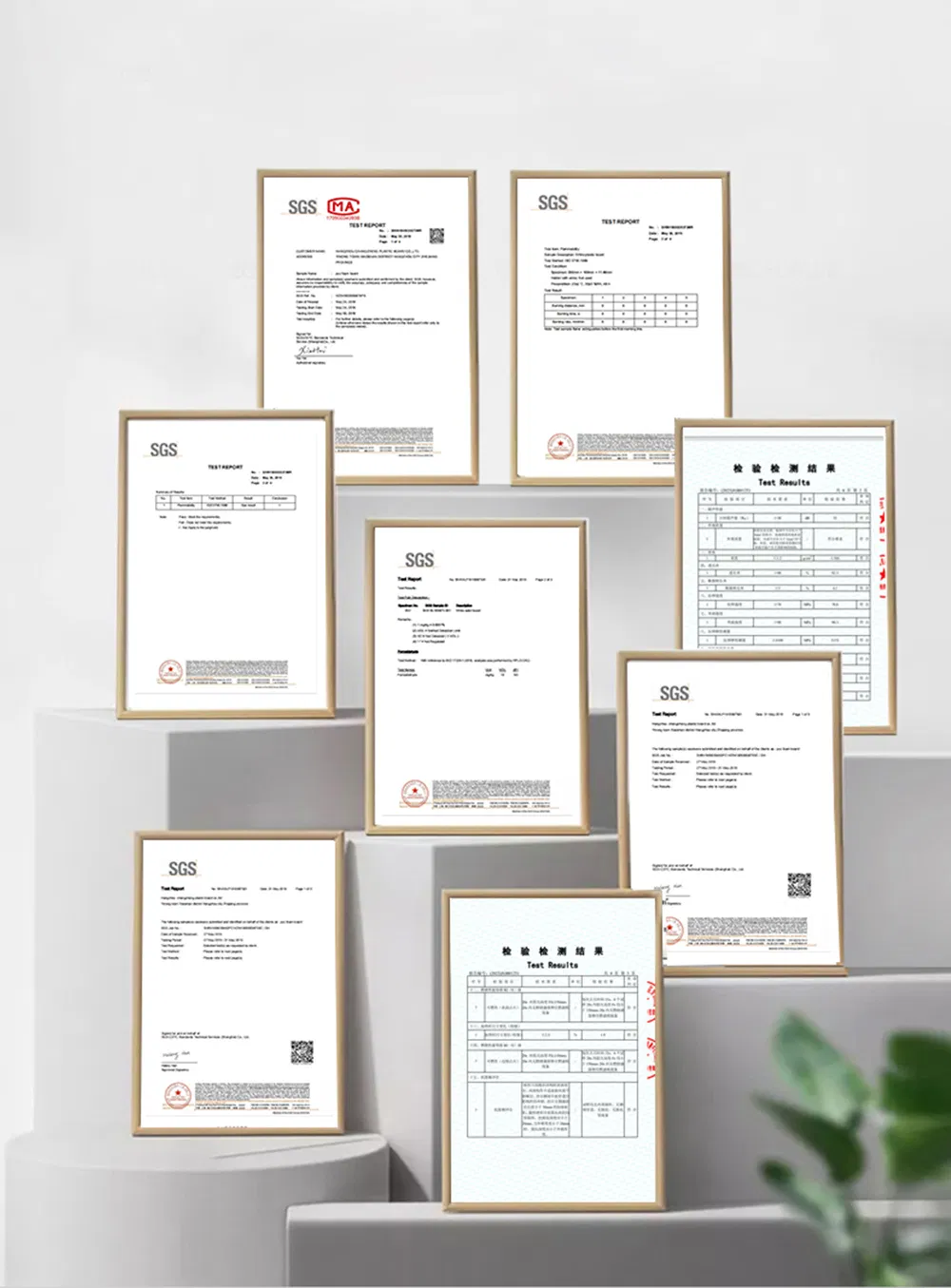 Certification Certificate