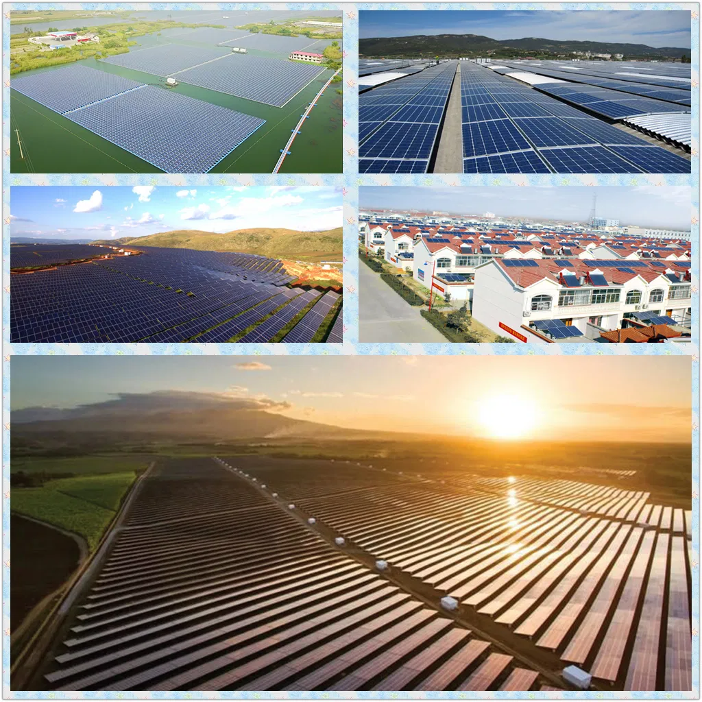 Project Case Exhibition