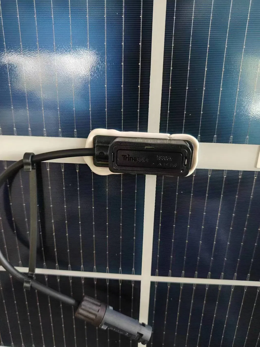Solar Module Back View