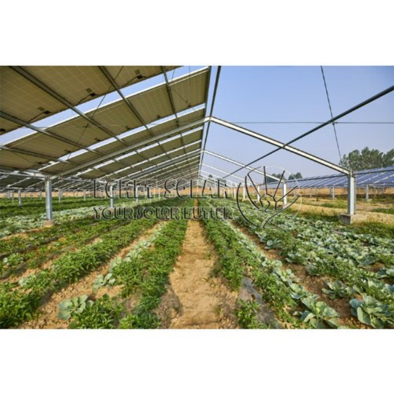 Wholesale Solar Awning Solar Farm Agricultural Bracket System