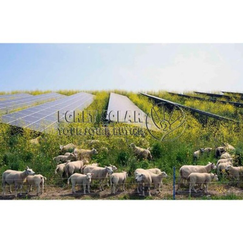 Wholesale Solar Awning Solar Farm Agricultural Mounting System
