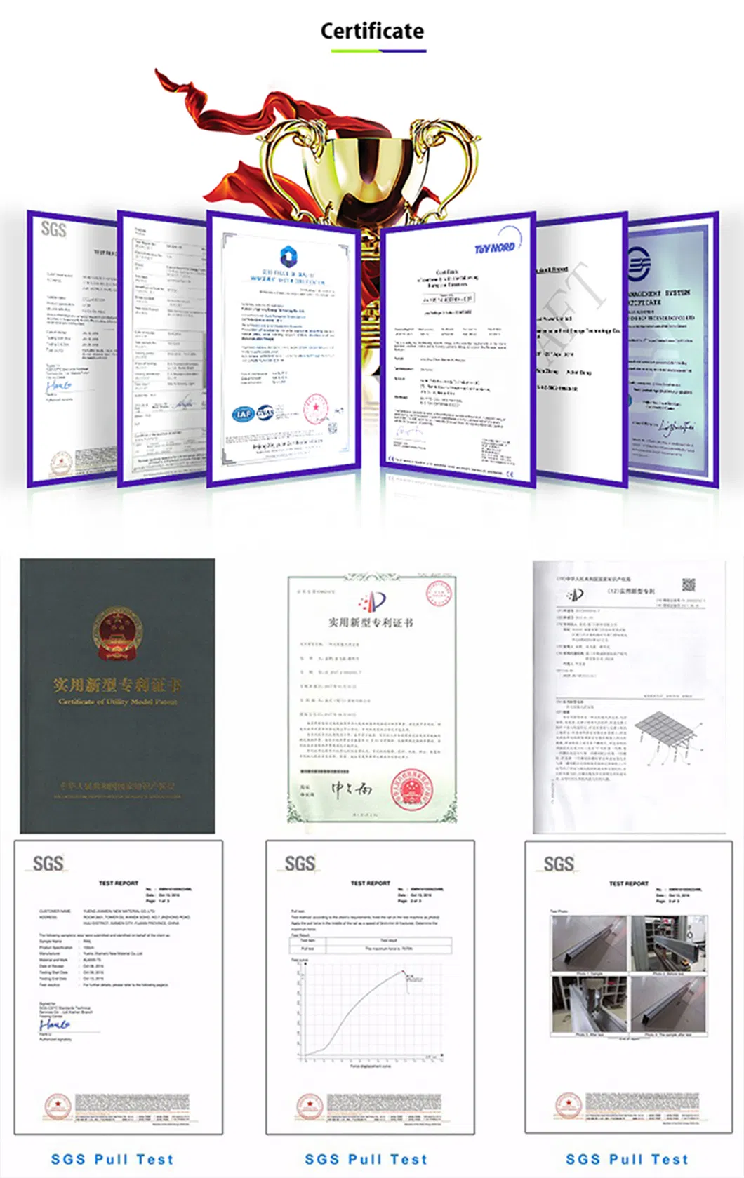 Global Certificates