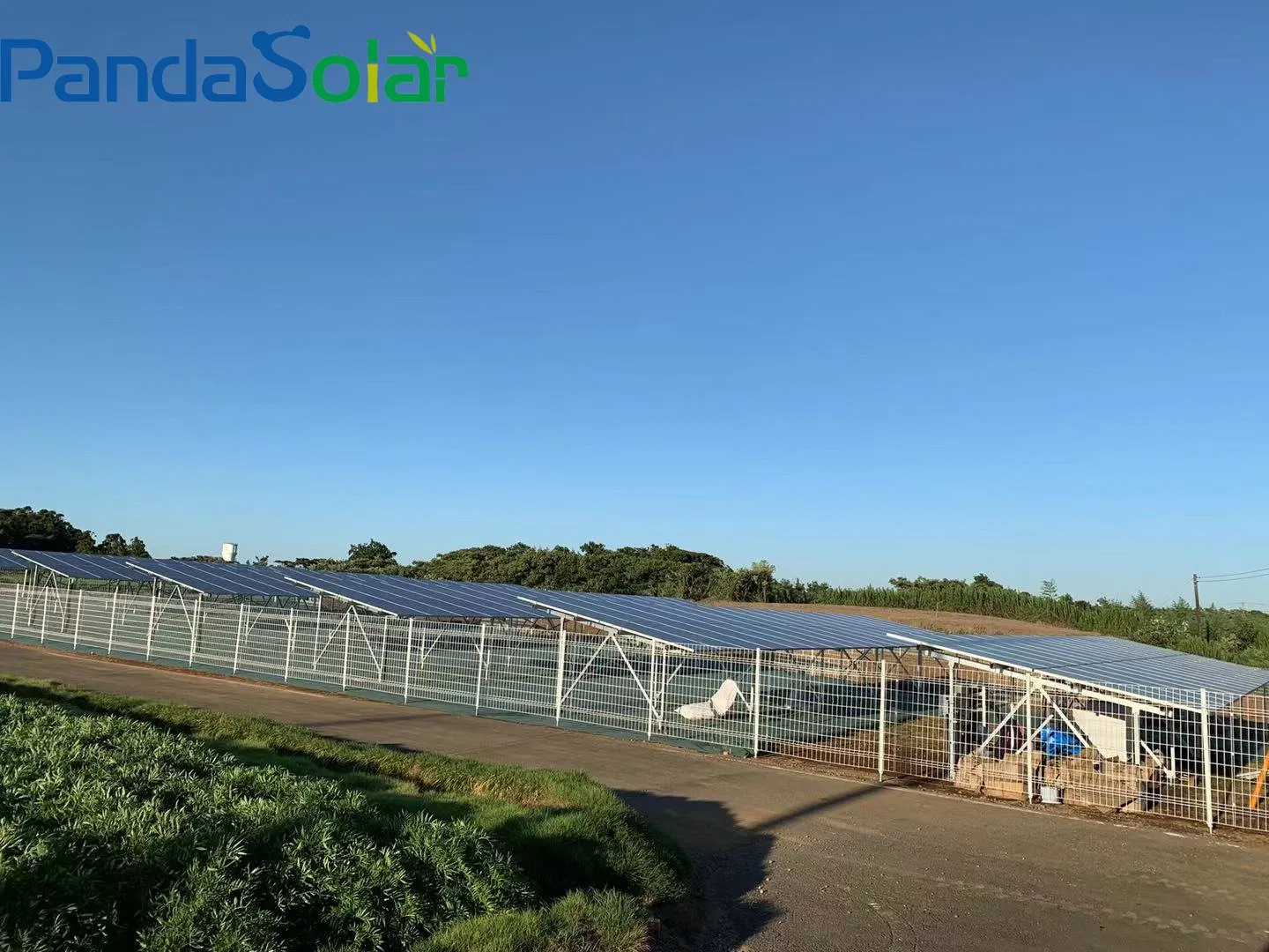 W Type Greenhouse Mounting System Alu Solar Panel Bracket for Solar Ground Mounting System