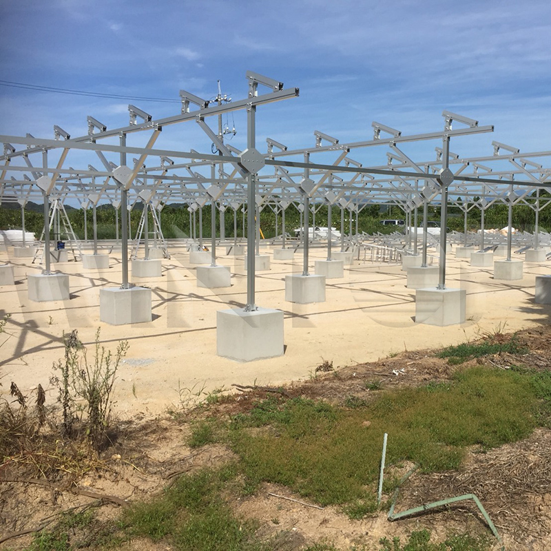 Agricultural Solar Bracket Greenhouse System Easy Install Environ Mentally Friendly