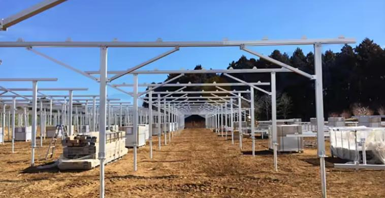 Ordinary Agricultural Greenhouse Manufacturer PV Brackets Solar Applications Farm