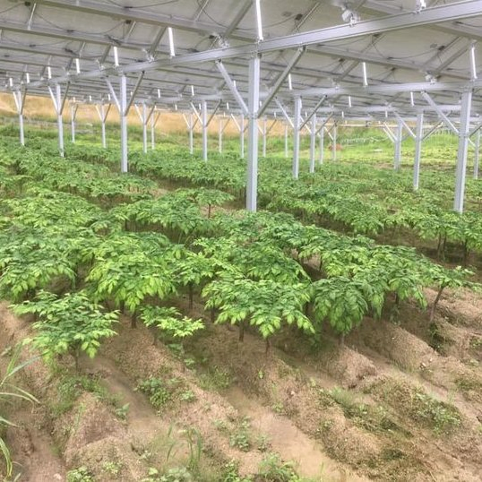 Solar Mounting System Agricultural Greenhouse Mounting Farm Rack Solar Panel