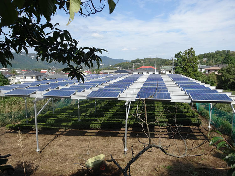 Wholesale Aluminium Solar Farm Ground Mounting System Greenhouse Agricultural Shed Solar Panel Farm Bracket