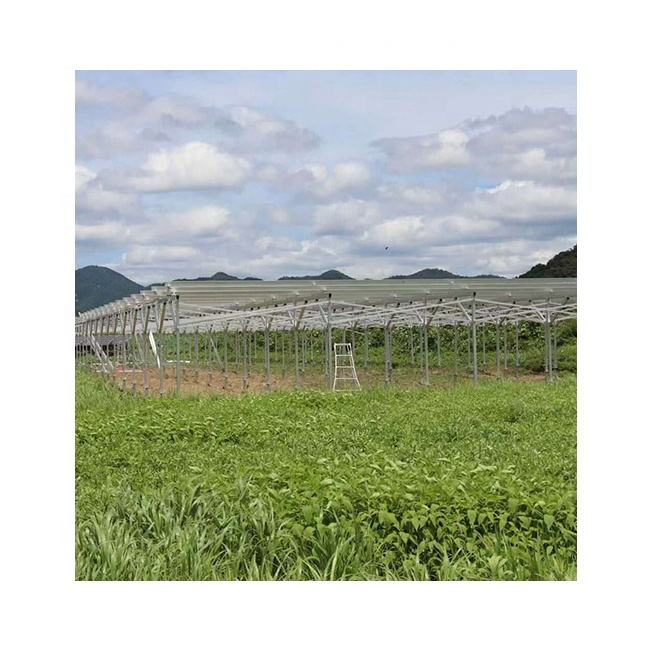 200kw Solar Aluminum or Steel Agriculture Ground Mounting System Greenhouse for Farmland