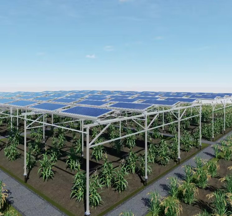 Ordinary Agricultural Greenhouse Manufacturer PV Brackets Solar Applications Farm