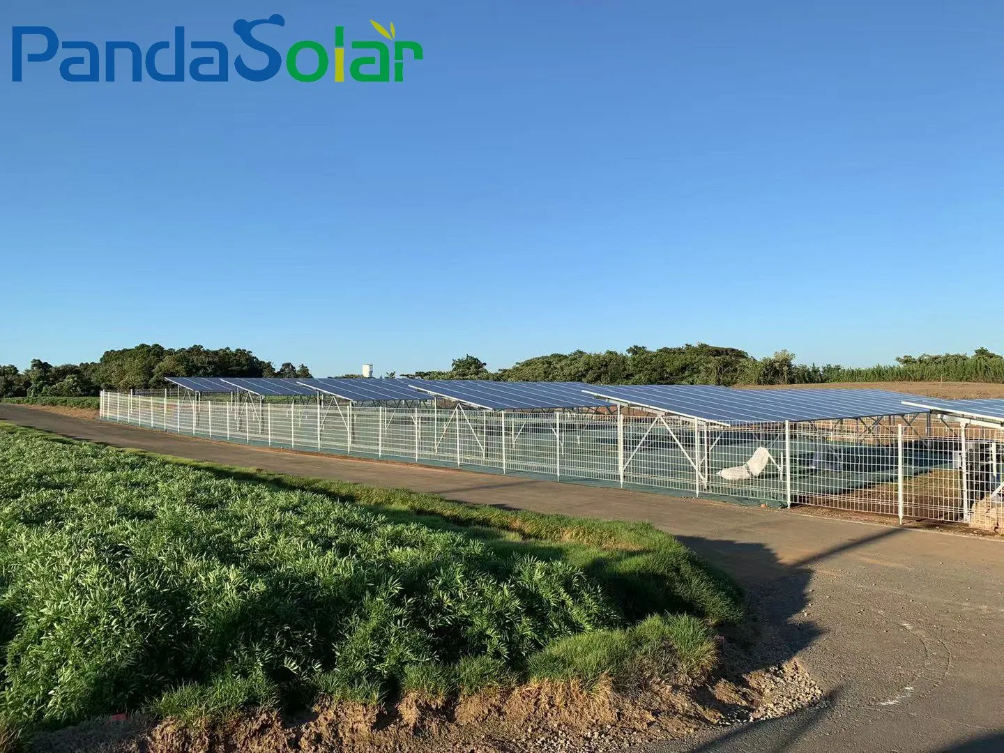 W Type Greenhouse Mounting System Alu Solar Panel Bracket for Solar Ground Mounting System