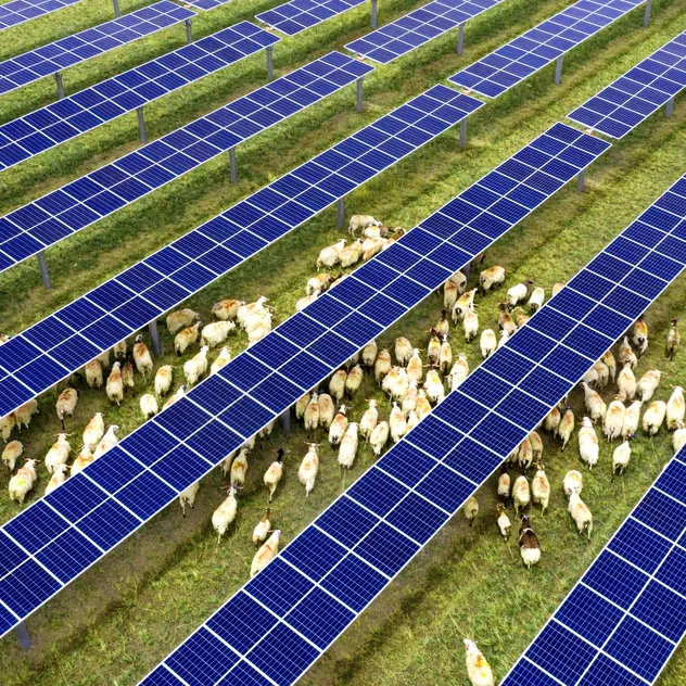 Solar Bracket View 2