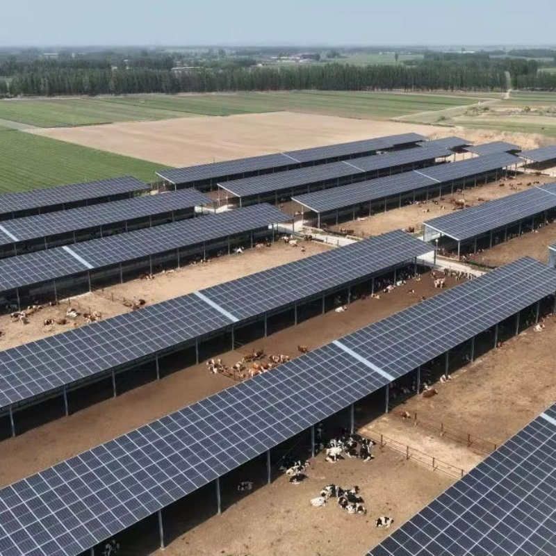 Versatile Farm PV Mounting System for Greenhouse and Open Field Use