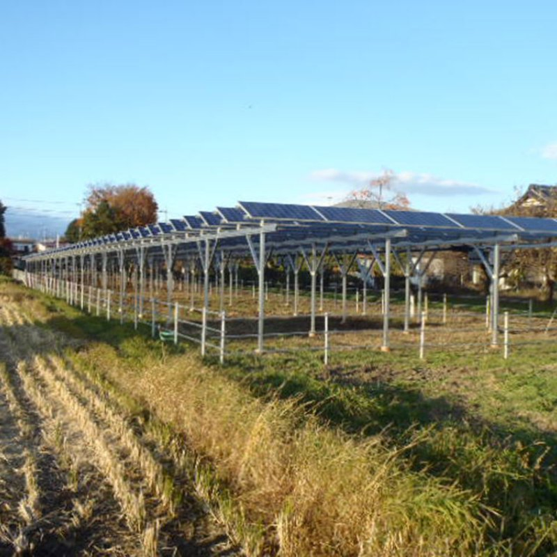 Versatile Farm PV Mounting System for Greenhouse and Open Field Use