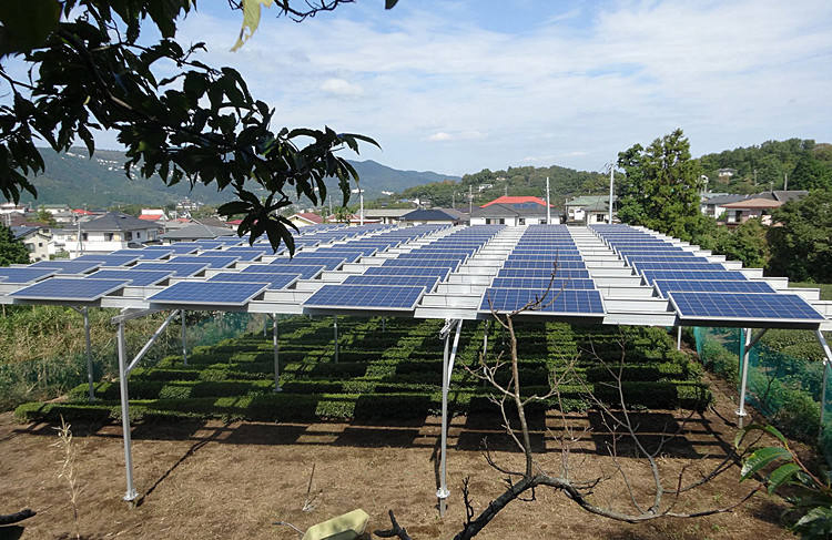 Wholesale Solar Panel Bracket Aluminum Solar Normal Greenhouse