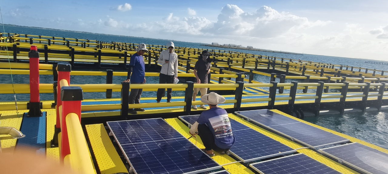 Floating Solar PV Platform Solar Dock for Marine Aquaculture