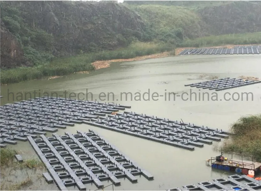 Solar Floater Platform