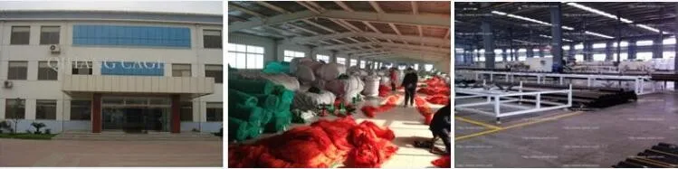 Certification Banner