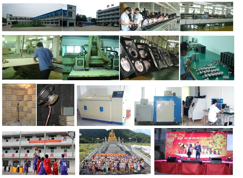 Professional Audio Sound System 6 Inch Neodymium MID-Range