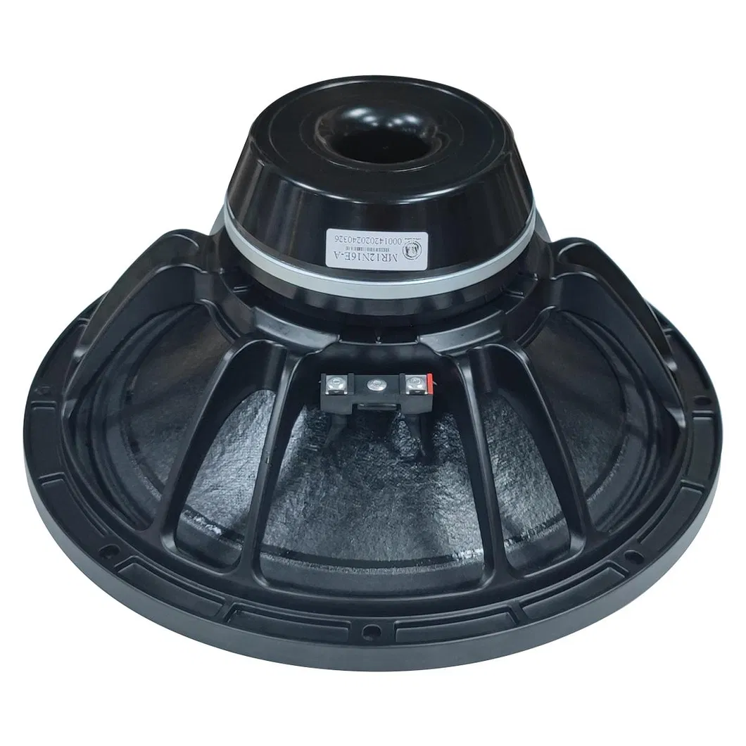 Speaker Driver Front View